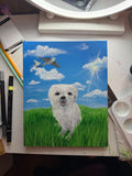 Dog + Birds Portrait